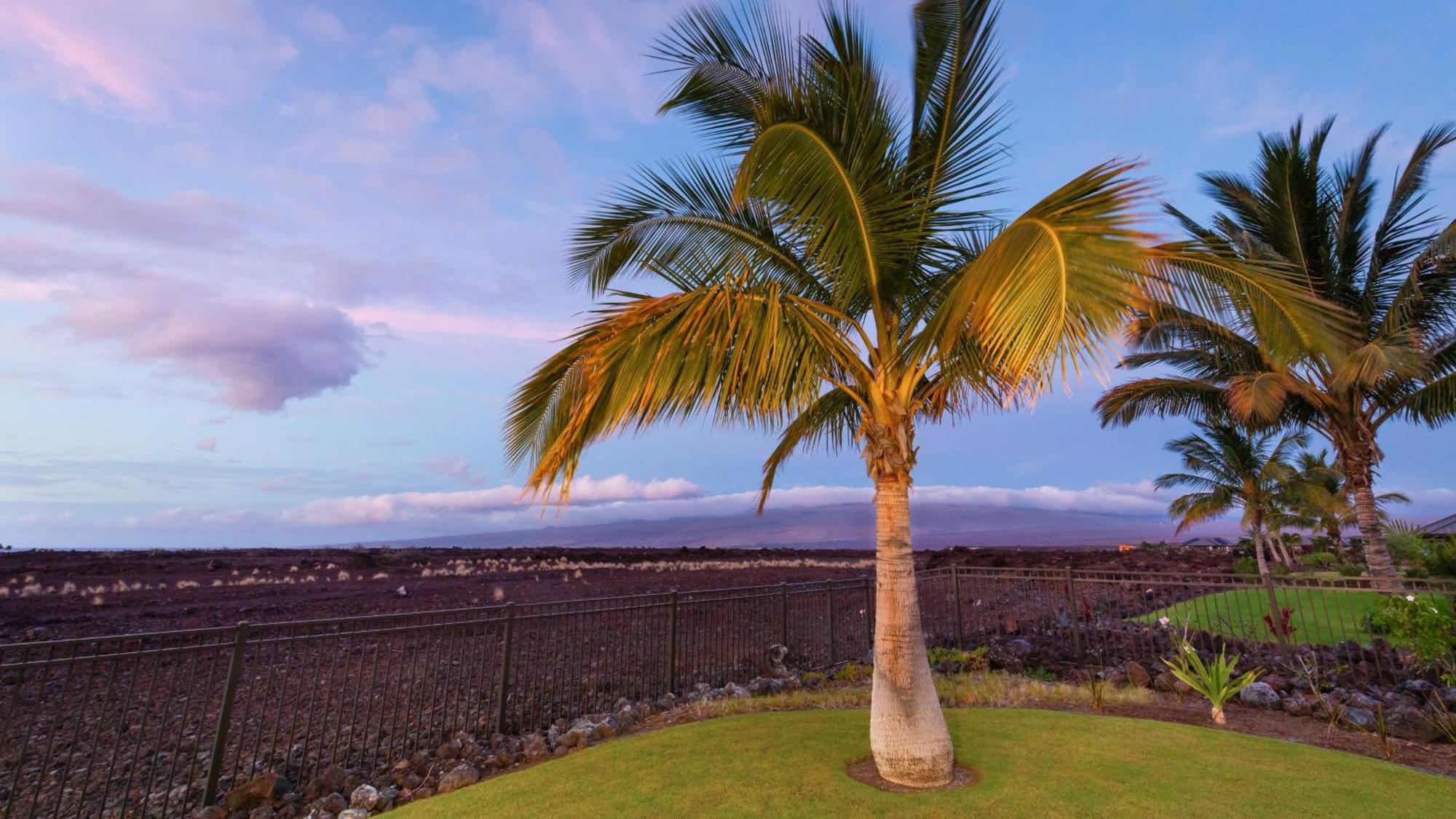 Starry Nights Dreamy 4Br Ainamalu Home With Mountain View Waikoloa Exterior photo