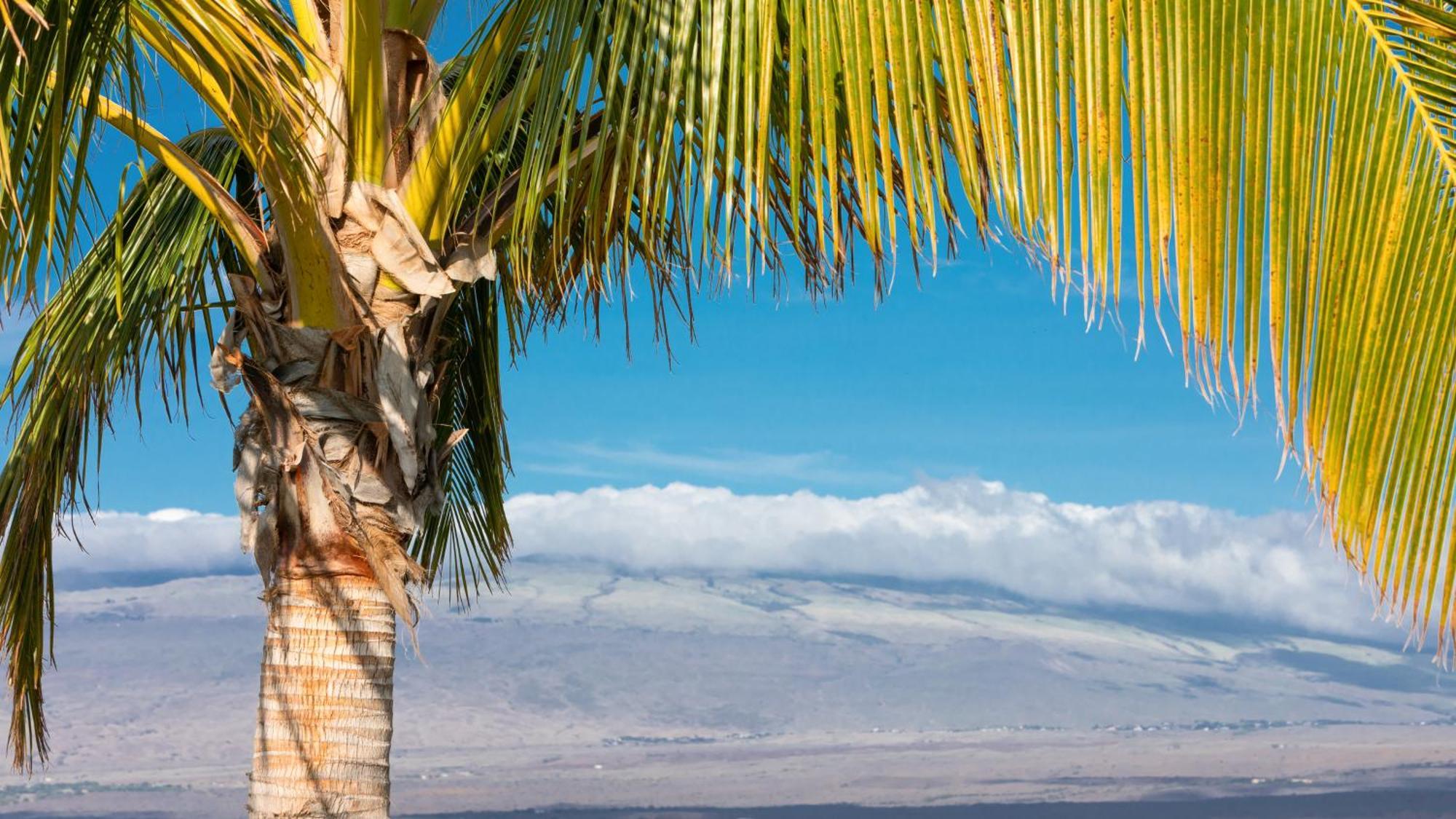 Starry Nights Dreamy 4Br Ainamalu Home With Mountain View Waikoloa Exterior photo